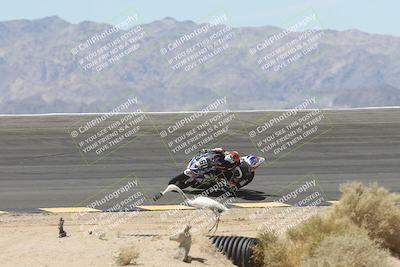 media/Apr-20-2025-CVMA (Sun) [[39090e8767]]/Race 12- Formula 40 MW and LW/